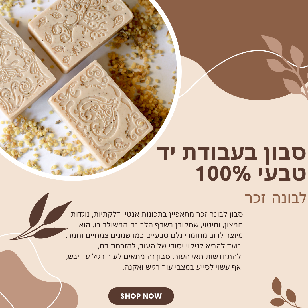 סבון לבונה זכר